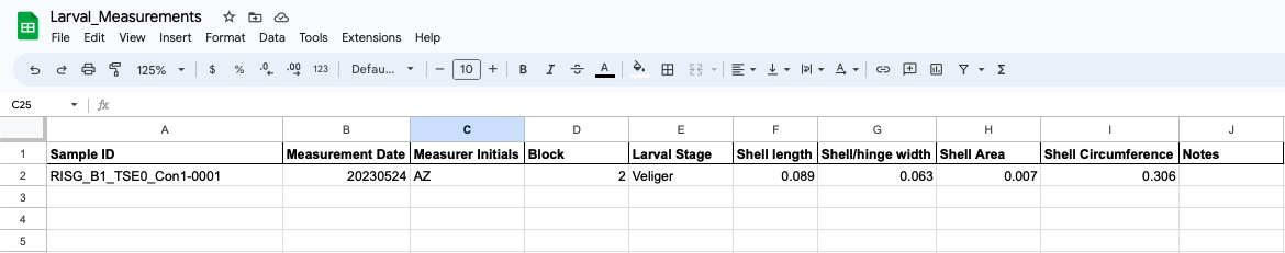spreadsheet